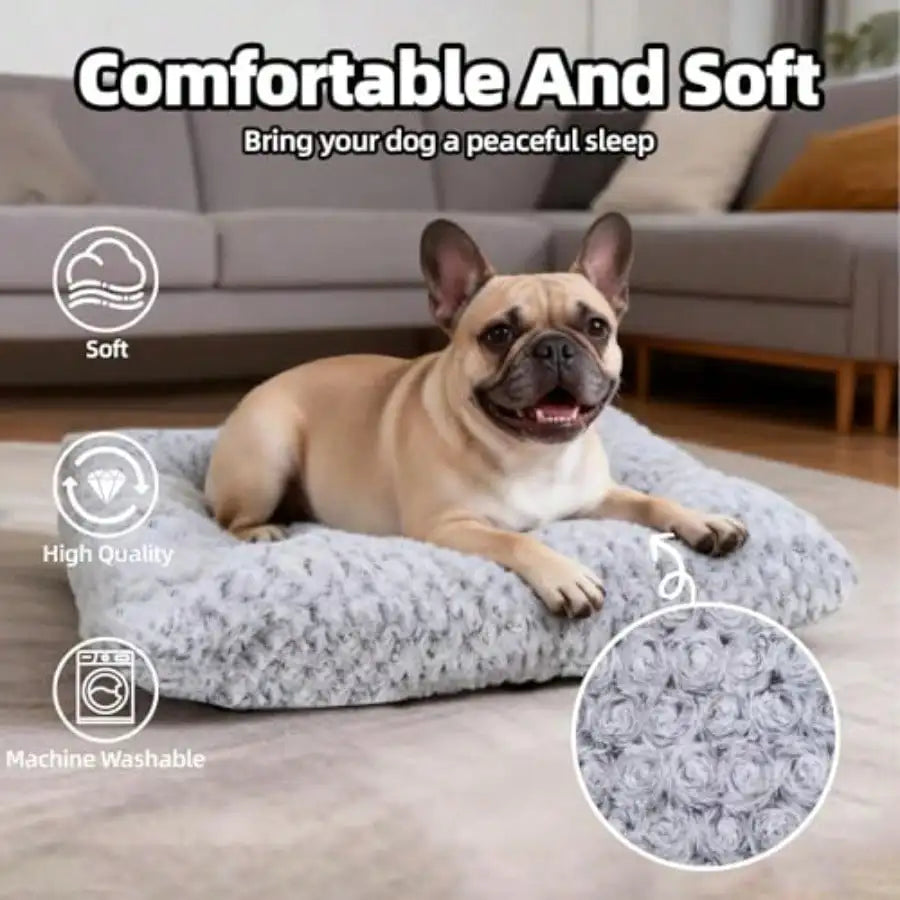Dog Beds For Small Dogs Deluxe Plush, Washable Small Dog Cat Bed, Indestructible Dog Crate Pad, Anti-Slip Soft Pet Bed, Comfy Kennel Pad For Large, Jumbo, Small, Medium Dogs, 23"X 18"-M, Light Gray