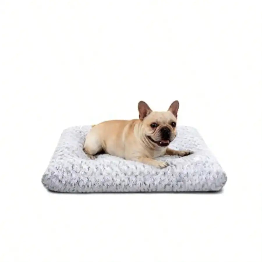 Dog Beds For Small Dogs Deluxe Plush, Washable Small Dog Cat Bed, Indestructible Dog Crate Pad, Anti-Slip Soft Pet Bed, Comfy Kennel Pad For Large, Jumbo, Small, Medium Dogs, 23"X 18"-M, Light Gray